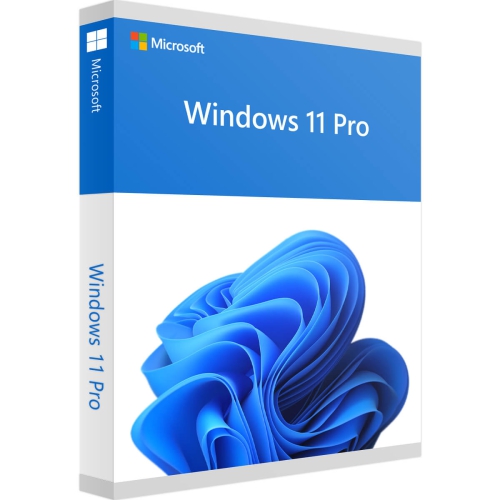 Microsoft Windows 11 Pro OEM Download