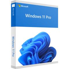 Microsoft Windows 11 Pro Download