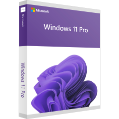 Microsoft Windows 11 Pro 3 PC Download
